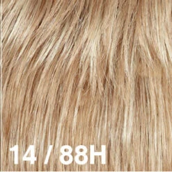 Missouri Wig By Dream USA | Double Mono Top -Exquisite Wig Shop 14 88H 6312112d d995 4913 8e40 01c2af4b5d2e