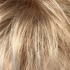 Washington Wig By Dream USA | Mono Top -Exquisite Wig Shop 14 PPLB