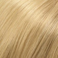 Blake Wig By Jon Renau | Large Cap -Exquisite Wig Shop 14 88H 7a0e00ba a6c6 4110 a88c 647ae4e451f9