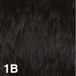California Wig By Dream USA | Double Mono Top -Exquisite Wig Shop 1B d88a1c37 9c4b 4102 9b83 aa6722f80e2b