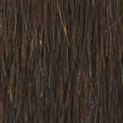 Casual Curls Wig By TressAllure | Mono Part 34 Casual Curls Wig By TressAllure | Mono Part -Exquisite Wig Shop 4 6R f2bf06d8 eb65 43ef 83ab 2c008784bf55