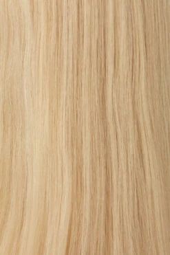 Princessa Wig By Raquel Welch 29 Princessa Wig By Raquel Welch -Exquisite Wig Shop BL10 Palest Blonde 2d2612ed 238b 45b8 98c7 a64f329c79d3