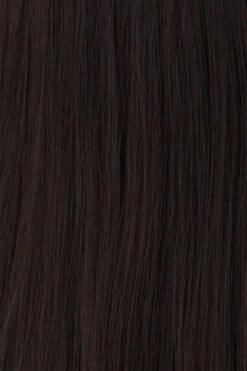 Princessa Wig By Raquel Welch 20 Princessa Wig By Raquel Welch -Exquisite Wig Shop BL1 Darkest Brown 5162af94 d30e 4b14 931f 5e181b33c48b