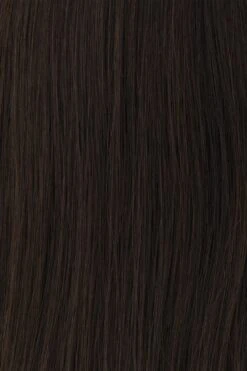 Princessa Wig By Raquel Welch 21 Princessa Wig By Raquel Welch -Exquisite Wig Shop BL2 Medium Dark Brown be290f90 e780 4bc4 919f 2043c2c74551