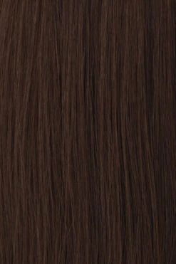 Princessa Wig By Raquel Welch 22 Princessa Wig By Raquel Welch -Exquisite Wig Shop BL3 Chestnut Brown aa1232f5 1045 43f4 ad66 f25002fae429