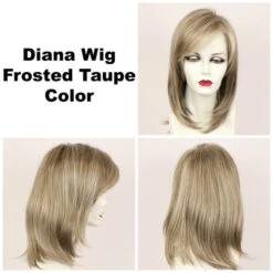 Diana LF Wig By Godiva's Secret Wigs 28 Diana LF Wig By Godiva's Secret Wigs -Exquisite Wig Shop Diana Frosted Taupe 36526.1461952550.500.659