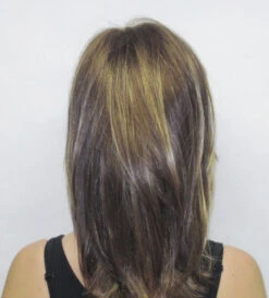 Diana LF Wig By Godiva's Secret Wigs 18 Diana LF Wig By Godiva's Secret Wigs -Exquisite Wig Shop Diana back 95325.1442348212.500.659