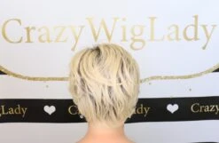 Ready For Takeoff Wig By Raquel Welch 27 Ready For Takeoff Wig By Raquel Welch -Exquisite Wig Shop Facetune 29 02 2020 15 21 55