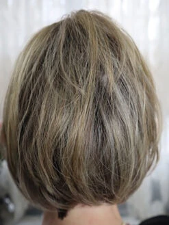 Fun By Ellen Wille | Heat-Friendly Synthetic Topper -Exquisite Wig Shop Funback1copy