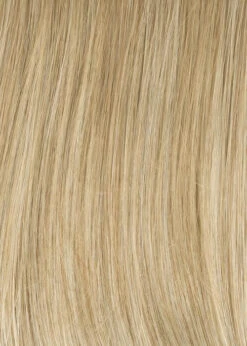 Simply Flawless Wig By Gabor -Exquisite Wig Shop GB Luminous Colors GL14 22 Sandy Blonde 50b1fdd5 8229 479d bdbd fa34b86289ce