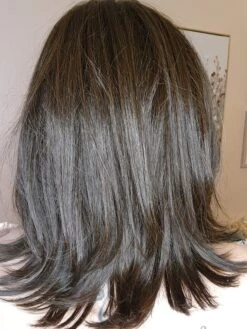 Lisa Wig By Envy | Human Hair/Synthetic Blend -Exquisite Wig Shop LisabyEnvyDarkBrownBack