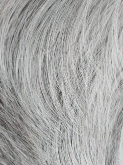 Classic Men's Wig By HIM | Mono Top 30 Classic Men's Wig By HIM | Mono Top -Exquisite Wig Shop M56S Ash Brown With 90 Grey Blend dbf448c5 5f02 4cea 8321 61917e434419