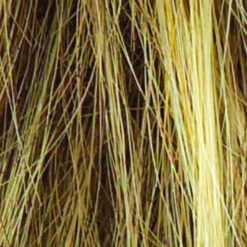 Salsa Wig By Raquel Welch | Large Cap -Exquisite Wig Shop R13F25 PRALINE FOIL b4786388 9763 4653 9824 5831d9985606