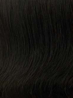 Faux Fringe Hair Piece By Raquel Welch -Exquisite Wig Shop R2 EBONY 4c40a6ae 128a 4651 80b8 3b98e7b6bc97