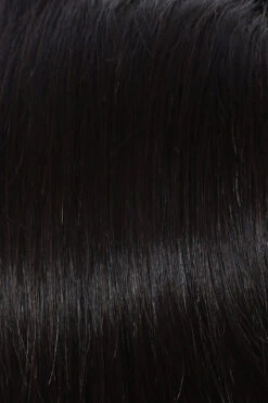 Grand Entrance Wig By Raquel Welch 29 Grand Entrance Wig By Raquel Welch -Exquisite Wig Shop R3HH Dark Brown 78dc6494 7d14 4da3 ae2f c9f53e9187f5