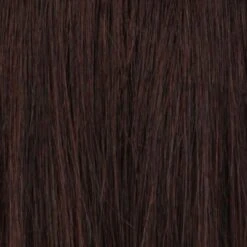 Eva Wig By Estetica | Remy Human Hair -Exquisite Wig Shop R4 DARK BROWN
