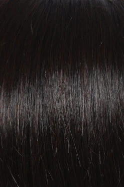 Calling All Compliments Wig By Raquel Welch | Double Mono Top -Exquisite Wig Shop R4 Midnight Brown efe2ec08 0e60 4442 9e17 537623a31103