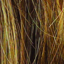 Salsa Wig By Raquel Welch | Large Cap -Exquisite Wig Shop R9F26 MOCHA FOIL 271f6265 1c1b 42bf 8c7f a51f6d268b63