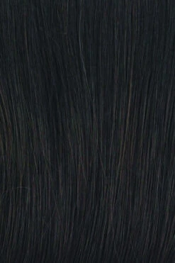 Fanfare Wig By Raquel Welch -Exquisite Wig Shop RL2 4 OFF BLACK