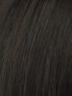 Spotlight Petite Wig By Raquel Welch -Exquisite Wig Shop RL2 4 OFF BLACK Black Evenly Blended with Dark Brown Highlights e97dd9cc bc6f 4a59 b84f 7a71c74bc3e5