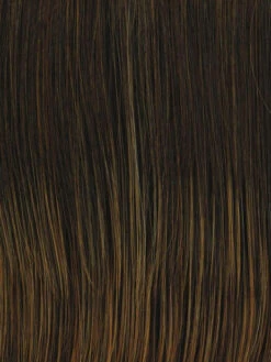 Straight Up With A Twist Wig By Raquel Welch 38 Straight Up With A Twist Wig By Raquel Welch -Exquisite Wig Shop RL6 28 BRONZED SABLE 222d127d e2e8 4238 9aa0 b75bbf36234b