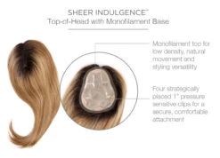 Go All Out 16" Topper By Raquel Welch -Exquisite Wig Shop RW GoAllOut16 Cap