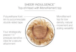 Lyric Top Piece By Raquel Welch 30 Lyric Top Piece By Raquel Welch -Exquisite Wig Shop RW Lyric Cap