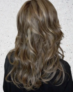 Stroke Of Genius Wig By Raquel Welch | Mono Part -Exquisite Wig Shop RWStrokeofGeniusRL9 24SSShadedIcedCafeLatteBACK