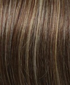 Beguile Wig By Raquel Welch -Exquisite Wig Shop RW Black Label Pre Dyed Human Hair Brunettes R11S S Glazed Mocha