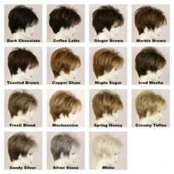Selma Wig By Godiva's Secret Wigs -Exquisite Wig Shop Selma Colors 75654.1499884689.1280.1280