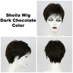 Sheila Large Wig By Godiva's Secret Wigs 12 Sheila Large Wig By Godiva's Secret Wigs -Exquisite Wig Shop Sheila Dk choc 52636.1458853214.1280.1280 1