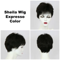 Sheila Wig By Godiva's Secret Wigs -Exquisite Wig Shop Sheila Expresso 46658.1458852394.1280.1280