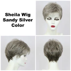 Sheila Petite Wig By Godiva's Secret Wigs 18 Sheila Petite Wig By Godiva's Secret Wigs -Exquisite Wig Shop Sheila Sandy Silver 69307.1458852679.1280.1280