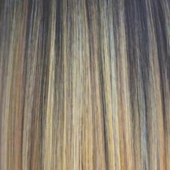 Posh Wig By Rene Of Paris | Heat Friendly -Exquisite Wig Shop Sunkiss d929c576 c38f 493b abae a57f9b2b4fb9