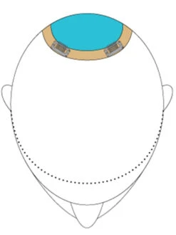 Top This 8" By Jon Renau | Remy Human Hair 24 Top This 8" By Jon Renau | Remy Human Hair -Exquisite Wig Shop TopThis placement b960d968 c827 4f91 987b 7c3fca639ddd