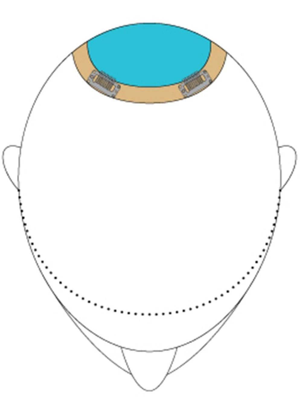 Top This 8" By Jon Renau | Remy Human Hair 5 Top This 8" By Jon Renau | Remy Human Hair - Image 5