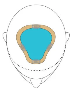 EasiPart XL 8" | Remy Human Hair | Renau Exclusive -Exquisite Wig Shop easiPartXL placement color 9276ed3f a7b8 47d4 941f 02288e24bbff