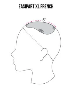 EasiPart XL Topper French 18" | Remy Human Hair 26 EasiPart XL Topper French 18" | Remy Human Hair -Exquisite Wig Shop easiPart French XL coverage