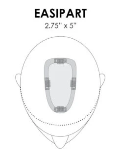 EasiPart Topper 8" | Remy Human Hair -Exquisite Wig Shop easipart placement base dimension